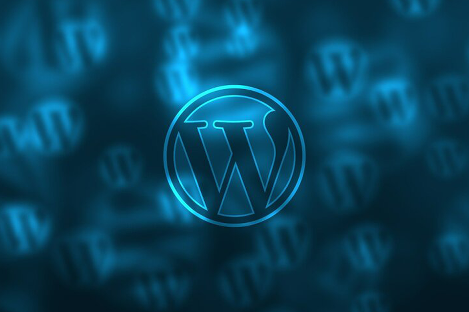 wordpress development